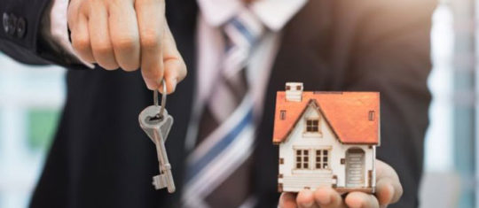 agence immobilière