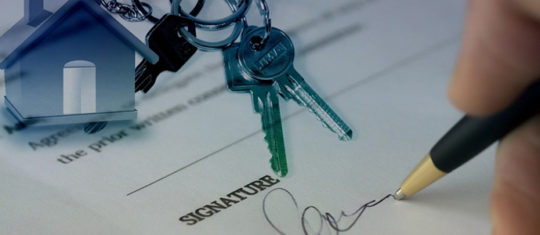 immobilier