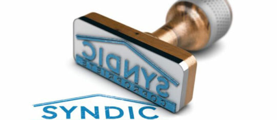 syndic