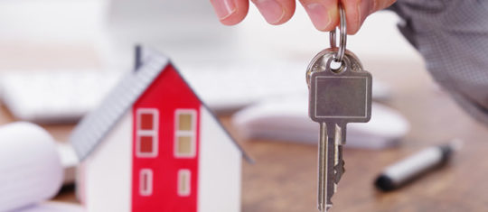 agence immobilière